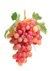 Red grape fruit isolated 