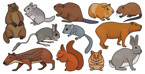 Species of rodents vector color set icon. Isolated color set icon gnawer.Vector illustration species of rodents on white background.