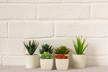 .Indoor artificial plants, various succulents in pots. Succulents in white mini-pots. Ideas for home decoration.Copy space .