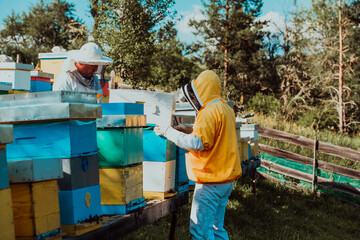 Beekeepers check the honey on the hive frame in the field. Beekeepers check honey quality and honey parasites. A beekeeper works with bees and beehives in an apiary.