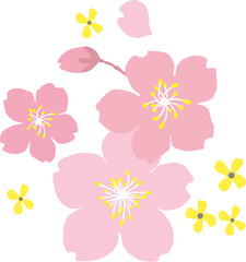 桜　ワンポイント　sakura one point