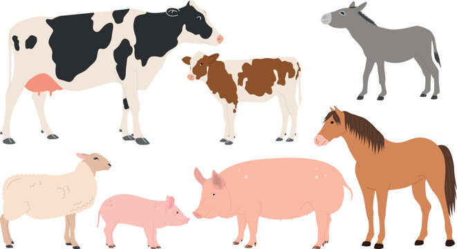 Cow, pig, horse, sheep and other animals, vector illustration