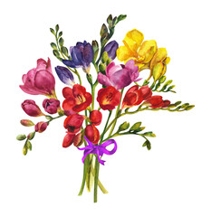 Watercolor wild flower. Bouquet of colorful freesias on a white background