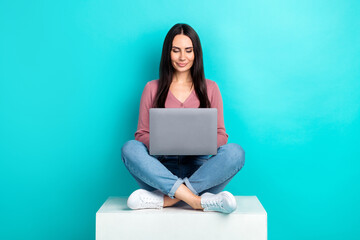 Full body size photo of confident team lead business lady sitting white box read laptop it...