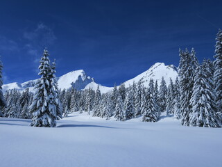 Fototapeta na wymiar montagne en hiver en Savoie la Légètte du Mirantin dans la neige