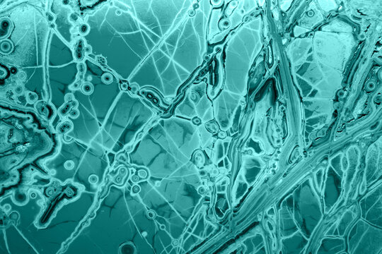 mineral texture of a cross section of a polished gemstone with veins and transparency. geological beauty background. variscite.