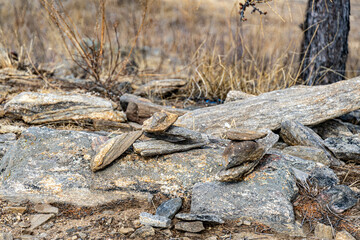 the nature of Lake baikal