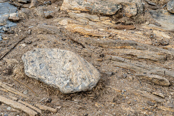 the nature of Lake baikal