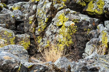 the nature of Lake baikal