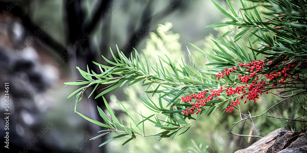 Poster a vivid, abstract image of intertwined branches and berries is captured in a composition of vibrant 
