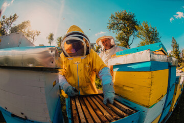 Beekeepers checking honey on the beehive frame in the field. Small business owners on apiary. Natural healthy food produceris working with bees and beehives on the apiary.