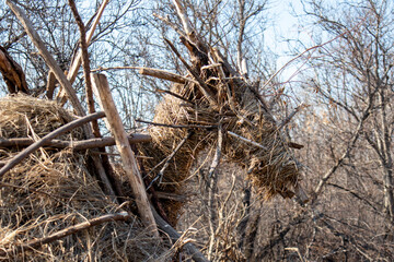 wooden dragon sculpture made of twigs