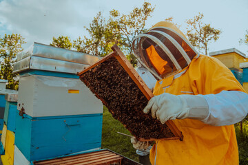 Beekeeper checking honey on the beehive frame in the field. Small business owner on apiary. Natural healthy food produceris working with bees and beehives on the apiary.
