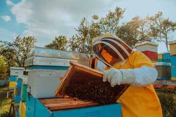 Beekeeper checking honey on the beehive frame in the field. Small business owner on apiary. Natural healthy food produceris working with bees and beehives on the apiary.