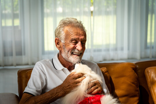 Caucasian Old Man Smiling Playing With White Dog On The Sofa Inside The Home For The Elderly Happily