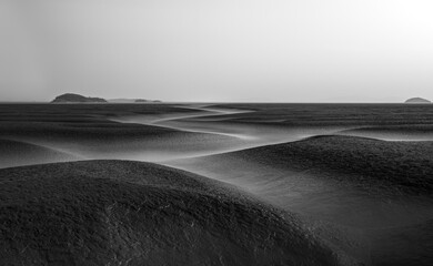 a black-and-white photograph