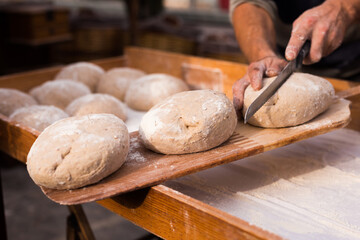 yeast dough in the form of loaves waiting to be cooked