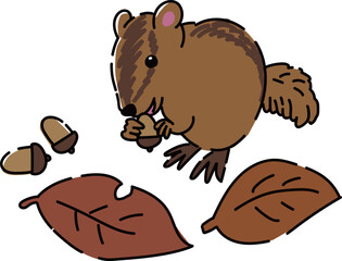 ドングリを食べているリスのイラスト