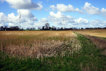 Windräder auf Wiesen und Feldern im Frühling bei blauem Himmel mit weißen Wolken im Sonnenschein...