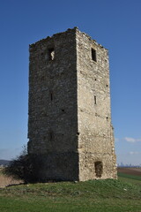 Fototapeta na wymiar Ruine Heidenturm bei Kittsee, Burgenland, Österreich, 16.03.2023