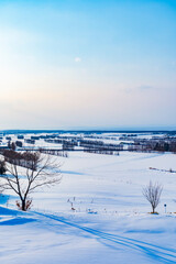 北海道知床斜里の雪原風景