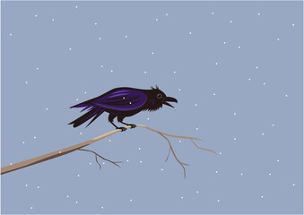 雪の中で木に止まり鳴いているハシブトカラス