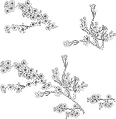 Naklejka premium Free hand Sakura flower vector set, Beautiful line art Peach blossom isolate on white background.Branch of cherry blossom for printing on wallpapers and sticker.Japanese flower.Golden line art.