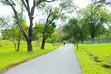 Fototapeta premium Cityscape view of Park with trees and skywalk.