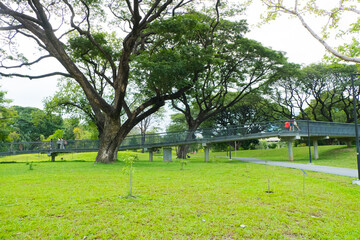 Beautiful park in the city center.
