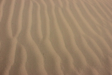 waves of sand created by the sea breeze in the middle of summer