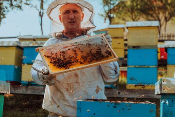 Beekeeper checking honey on the beehive frame in the field. Small business owner on apiary. Natural healthy food produceris working with bees and beehives on the apiary.