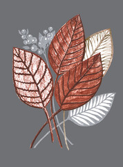 Berry on a branch with leaves.  Fall illustration on gray background. 