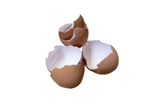 single eggshells on transparent background