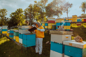 Beekeepers check the honey on the hive frame in the field. Beekeepers check honey quality and honey parasites. A beekeeper works with bees and beehives in an apiary.