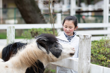 ポニーに触る子供