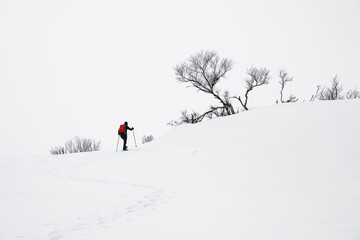 Schneeschuhgeher  in Norwegen- das Wandern  auf Schneeschuhen in unberührter winterlicher Landschaft ist eine gute Alternative zum Skilanglauf