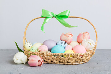 Happy Easter composition. Easter eggs in basket on colored table with yellow Tulips. Natural dyed colorful eggs background with copy space