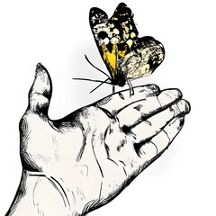 hand with butterfly