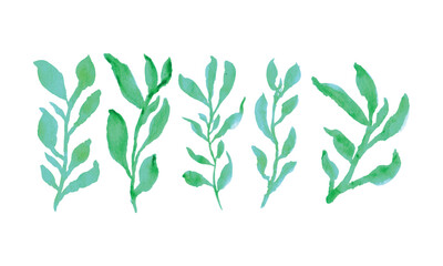 A row of green trees on a white background. hand drawn plants. Hand drawn leaves draw