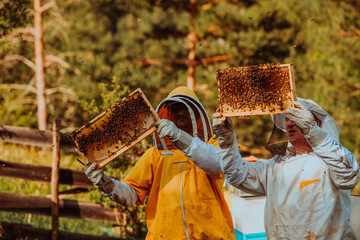 Beekeepers checking honey on the beehive frame in the field. Small business owners on apiary. Natural healthy food produceris working with bees and beehives on the apiary.