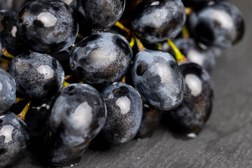 sweet ripe black grapes covered with drops of water