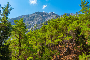 Samaria gorge at Greek island Crete
