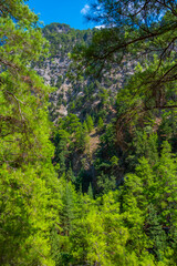 Samaria gorge at Greek island Crete