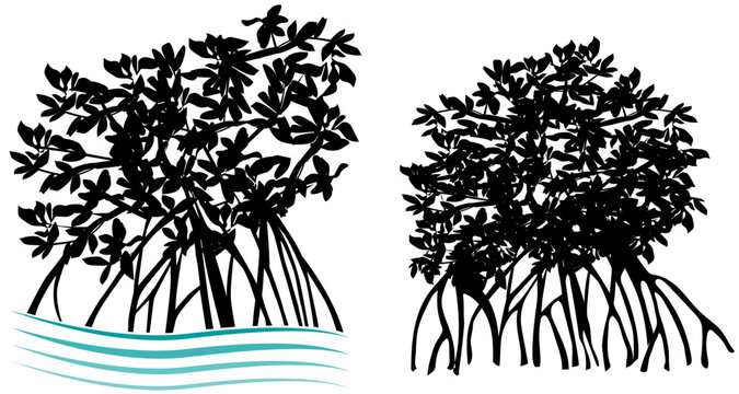 Mangrove trees and water lines isolated vector art