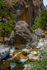 Creek at Samaria gorge at Greek island Crete