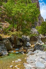 Creek at Samaria gorge at Greek island Crete