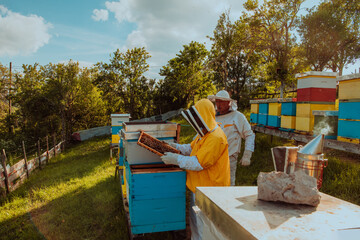 Fototapeta na wymiar Beekeepers checking honey on the beehive frame in the field. Small business owners on apiary. Natural healthy food produceris working with bees and beehives on the apiary.