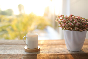 White coffee cup and books with elephant bush Portulacaria afra plant