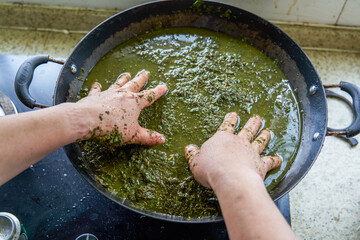 Herbs needed to make five-color glutinous rice, a traditional Chinese Tomb-sweeping Day food