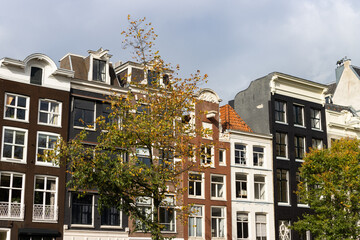 Fototapeta na wymiar Row of Beautiful Old Buildings with Colorful Trees during Autumn in the Amsterdam Centrum District